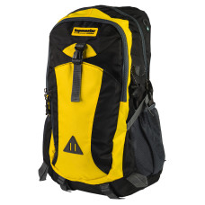 Rucsac pentru scule cu 10 buzunare Top Master Pro 549774