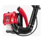 Suflanta pe benzina Red Technic RTODL0059