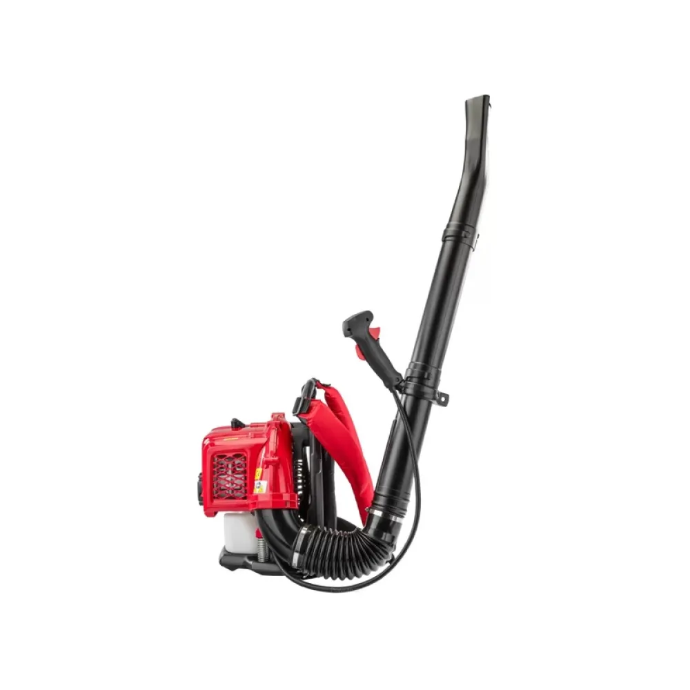 Suflanta pe benzina Red Technic RTODL0059