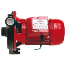 Pompă de suprafață Raider RD-CPM158